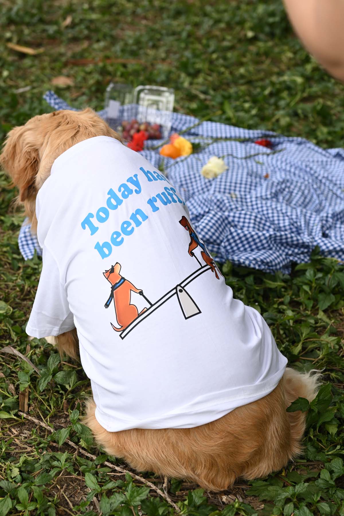 Ruff Day Oversized T-Shirt- White